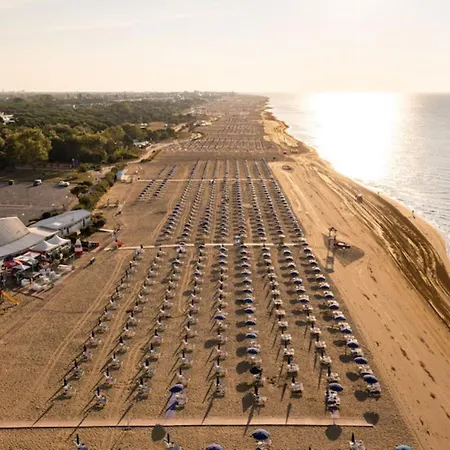 Apartment Peaceful In A Fantastic