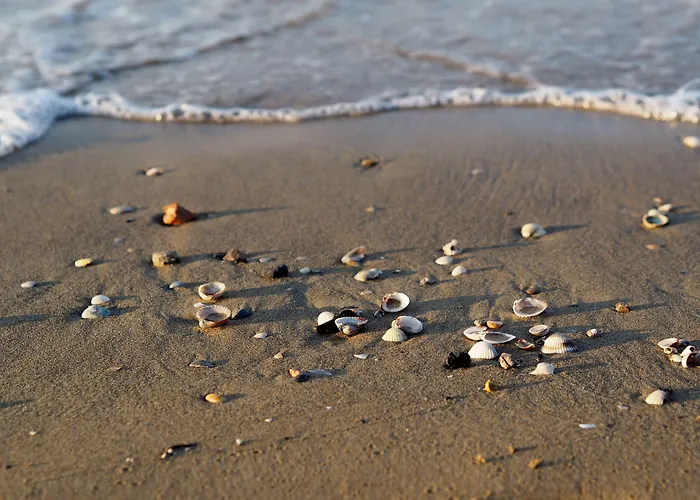 Daire Peaceful In A Fantastic